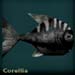 corelliablack
