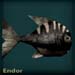 endorblack