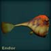 endorblue