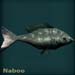 nabooblue