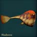 nabooblue