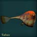 talusblue