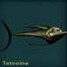 tatooineblue