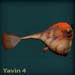 yavinblue